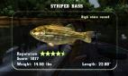 Rapala Fishing Frenzy 2009 (PS3) - Print Screen 5